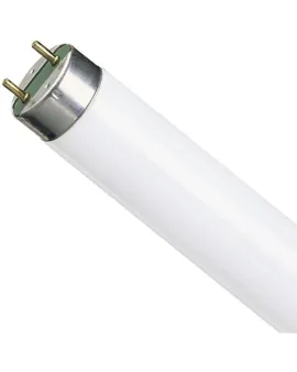 Лампа люминесцентная OSRAM L18 W765 G13 (холодный свет)